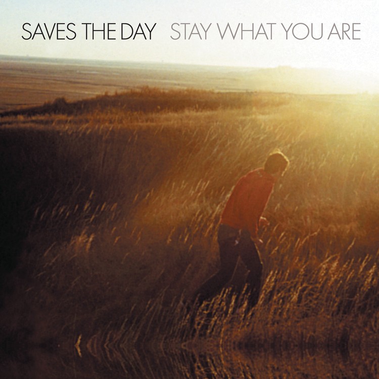 Saves The Day Stay What You Are Vinyl Lp